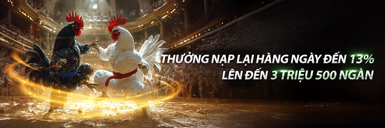 Hình ảnh đá gà trực tuyến VIPVIN trang chủ chính thức