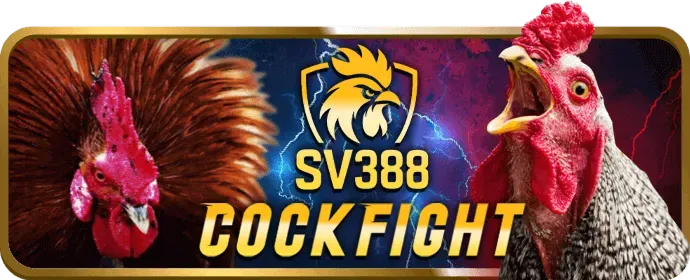 Sự kiện đặc biệt Vipvin