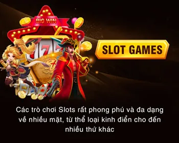 Cấp độ VIP Bạch Kim của vipvin