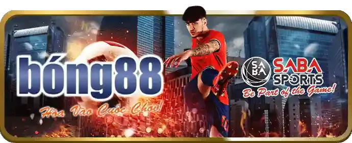 Ưu đãi chào mừng Vipvin