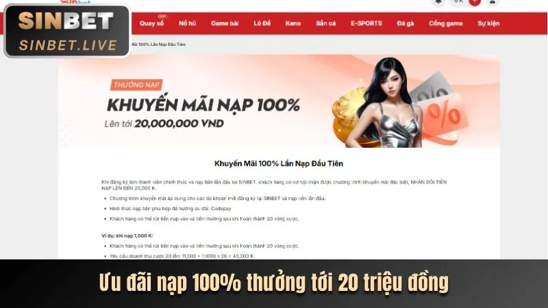 Hướng dẫn cá cược thể thao vipvin